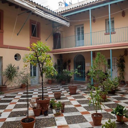 180 Home Ideal Apartamento Con Patio San Bernardo 2 Sevilla Bagian luar foto